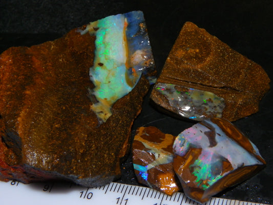 NIce Rough Boulder Opals/Rubbed Specimens 455cts Queensland Australia Fires