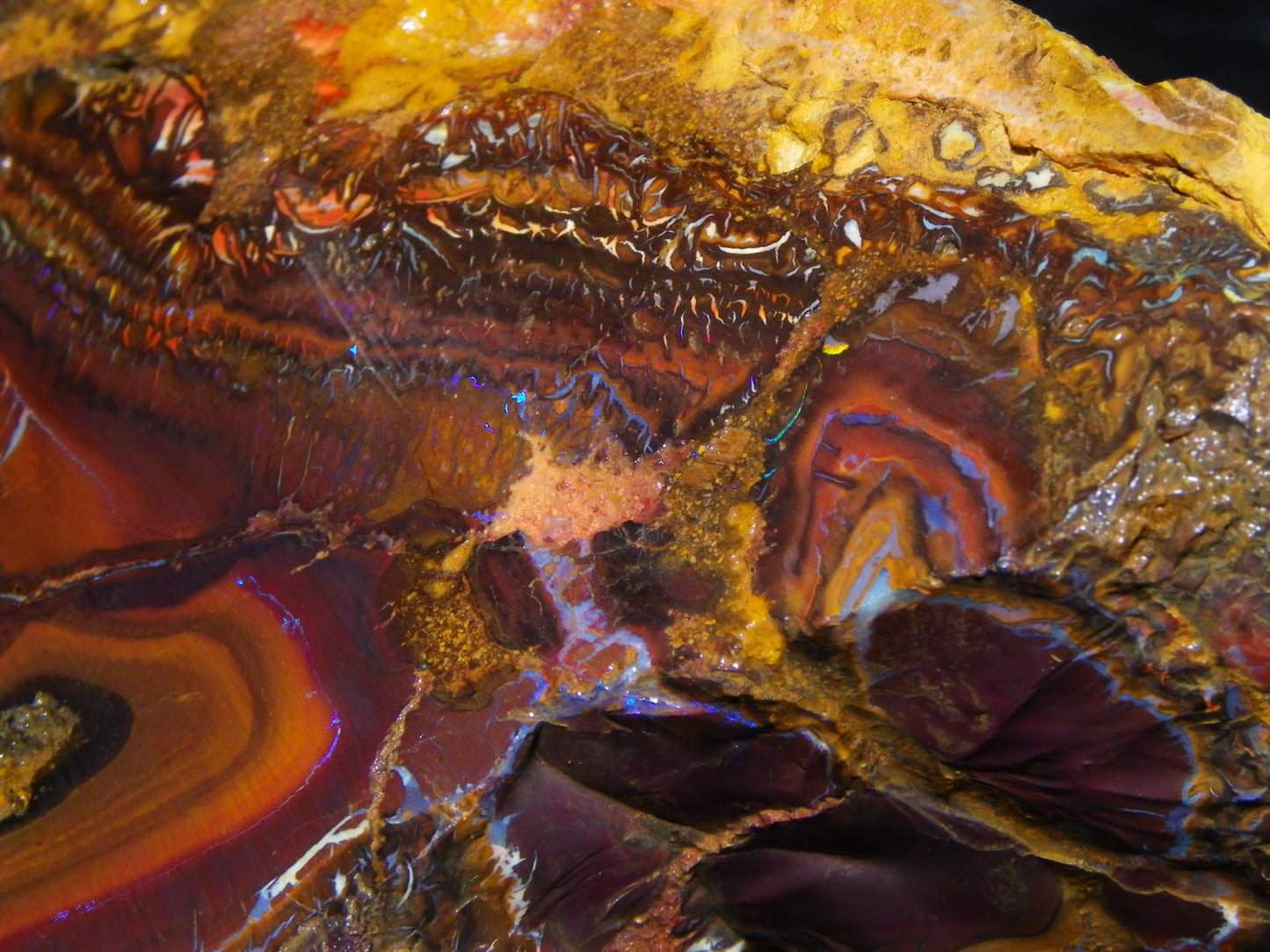 Huge 1498 Gram Sliced Koroit Opal Half Nut Patterns/Purple/Green Fires Queensland Australia