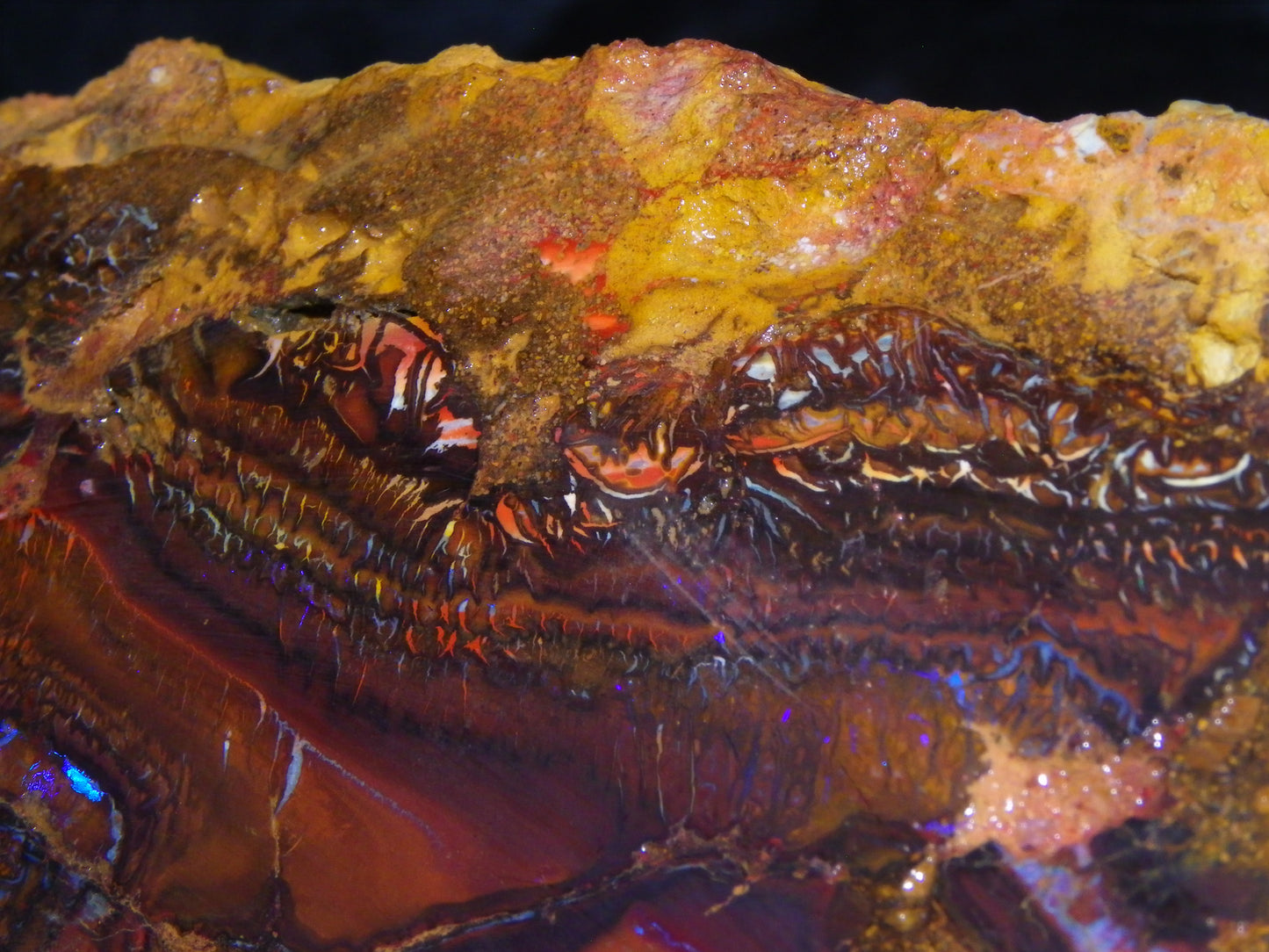 Huge 1498 Gram Sliced Koroit Opal Half Nut Patterns/Purple/Green Fires Queensland Australia