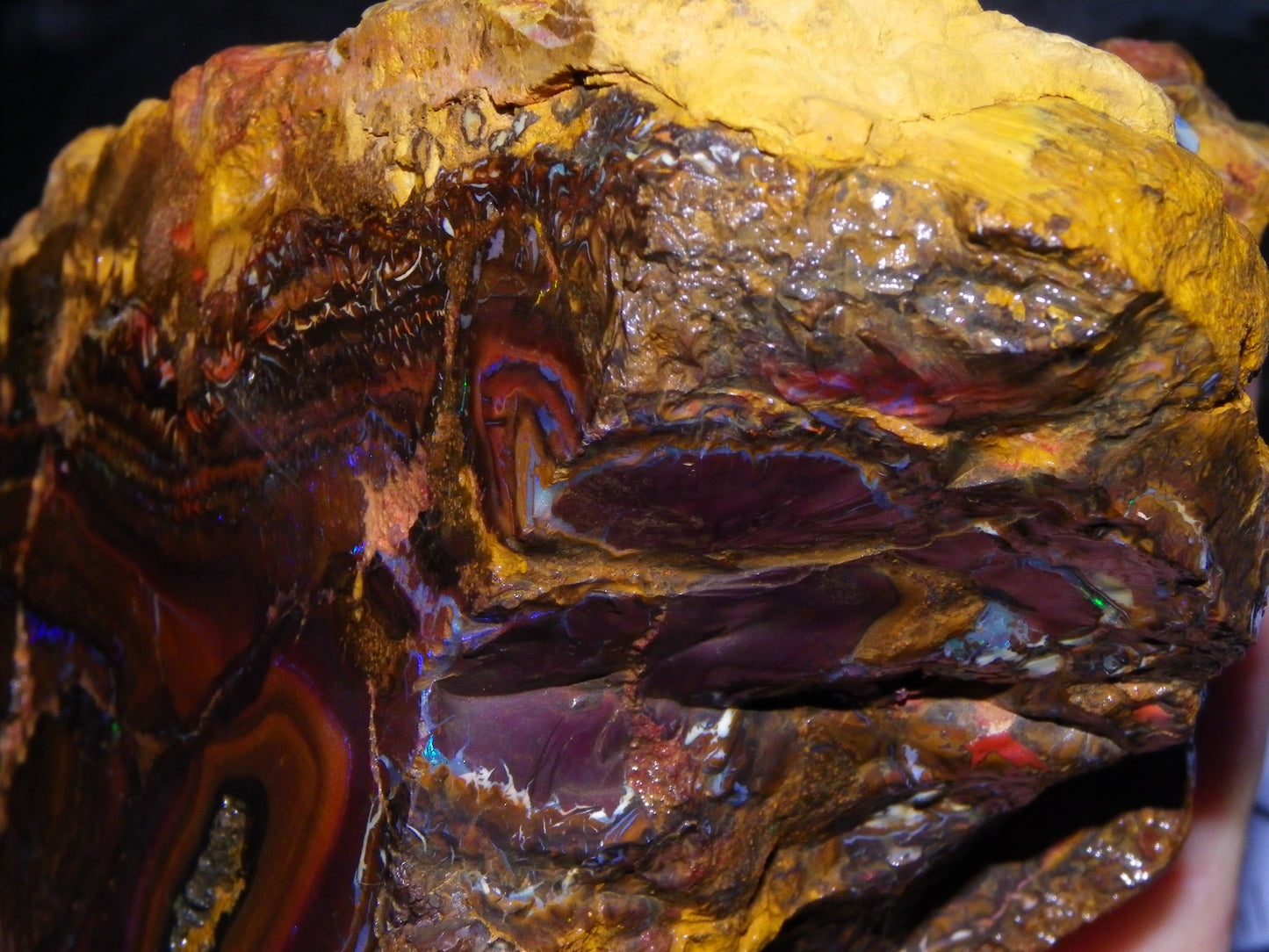 Huge 1498 Gram Sliced Koroit Opal Half Nut Patterns/Purple/Green Fires Queensland Australia