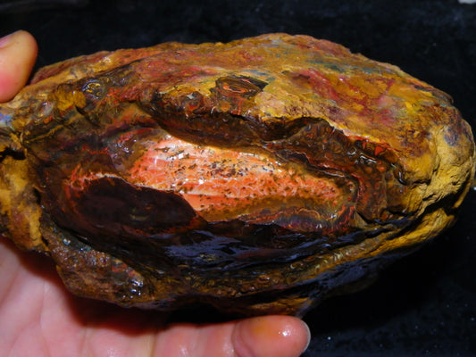 Huge 1498 Gram Sliced Koroit Opal Half Nut Patterns/Purple/Green Fires Queensland Australia