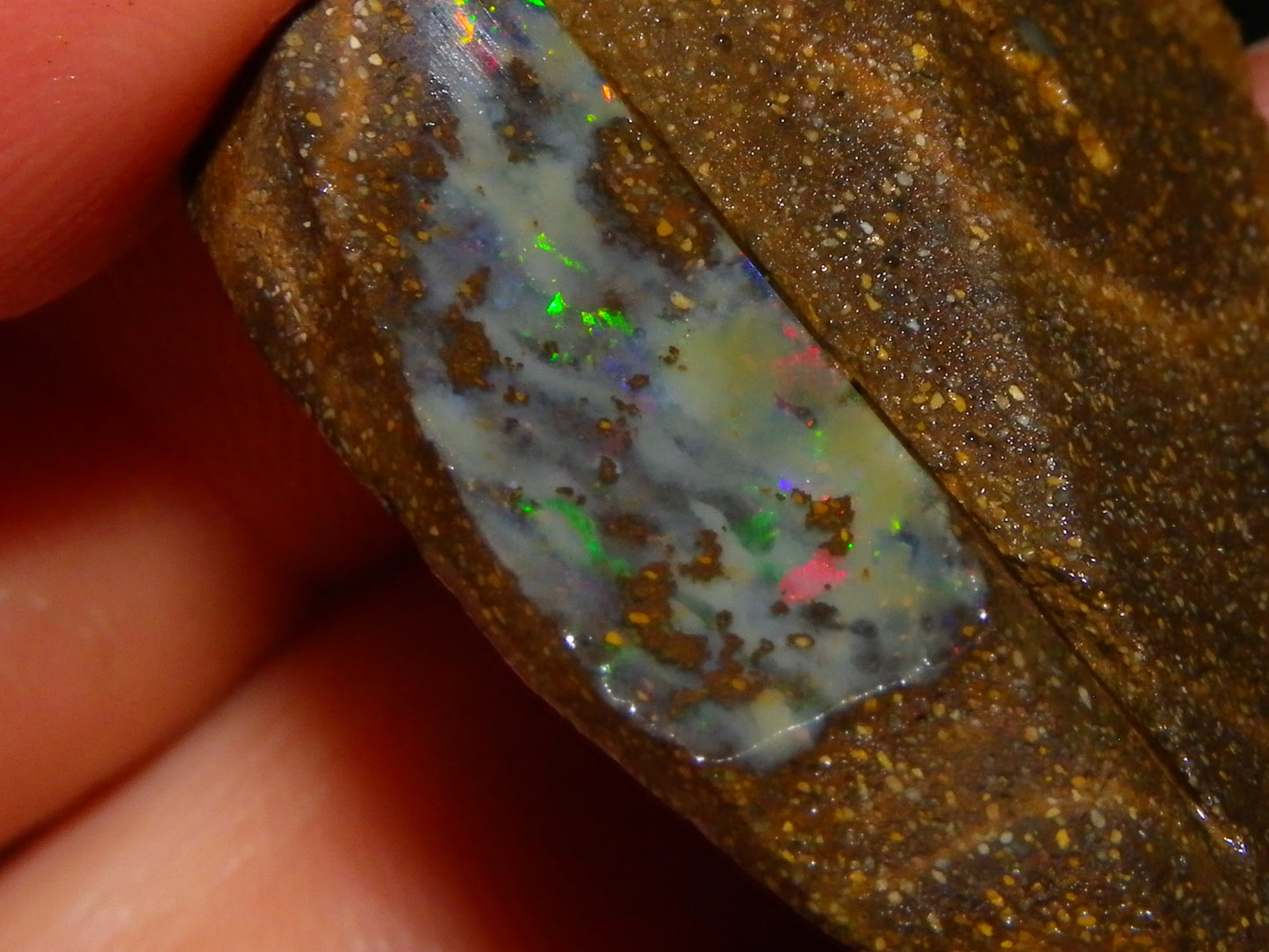 NIce Rough Boulder Opals/Rubbed Specimens 455cts Queensland Australia Fires