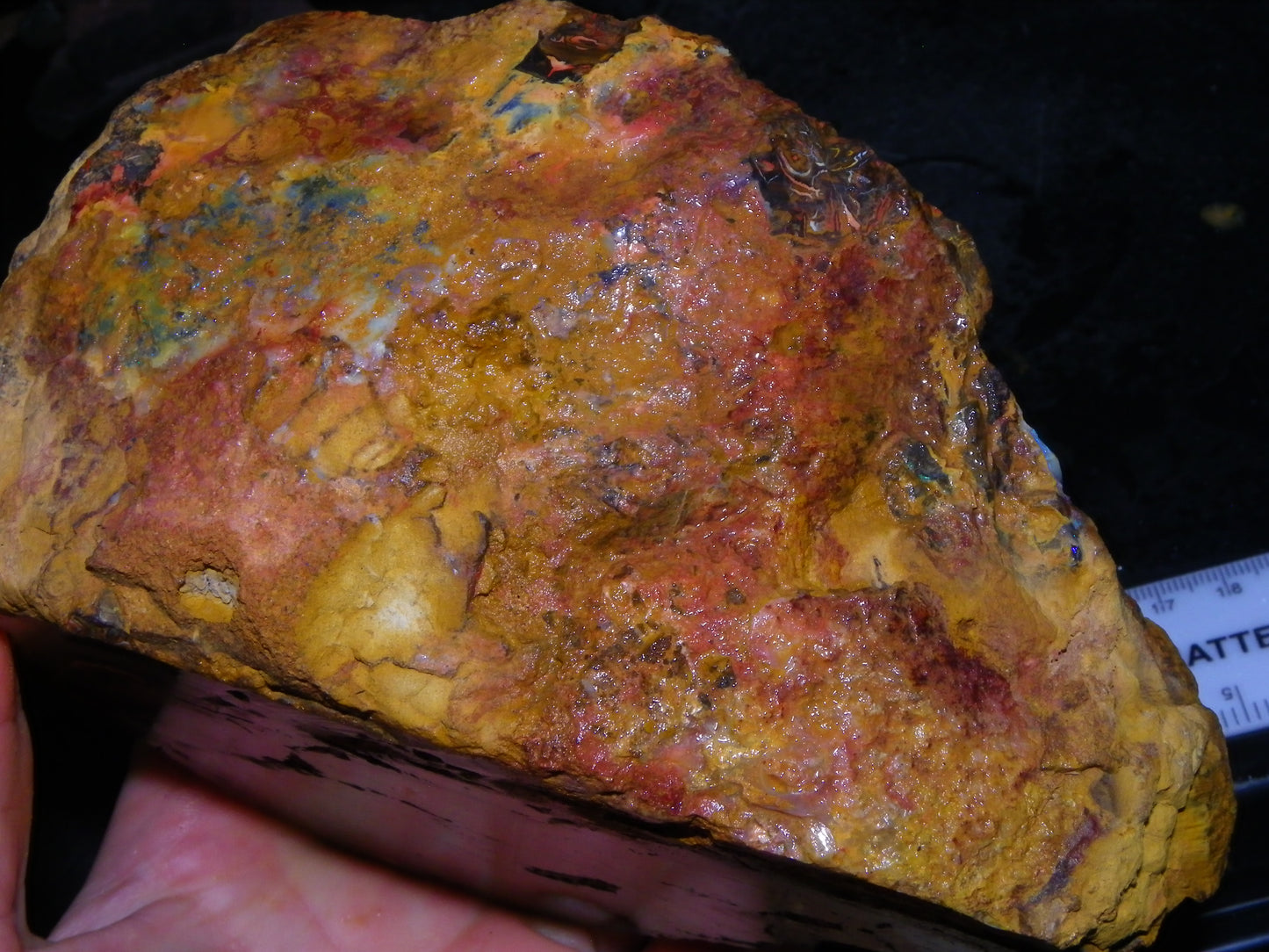 Huge 1498 Gram Sliced Koroit Opal Half Nut Patterns/Purple/Green Fires Queensland Australia