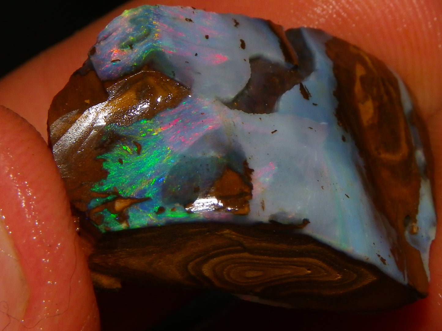 NIce Rough Boulder Opals/Rubbed Specimens 455cts Queensland Australia Fires