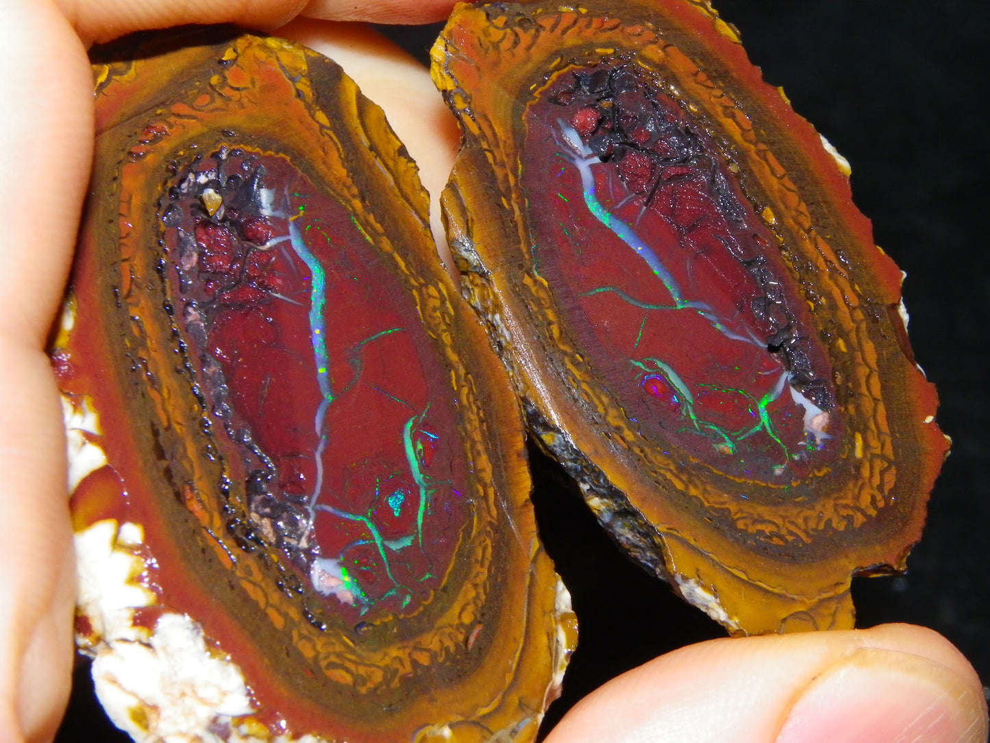 Very Nice Sliced Koroit Opal Nut 597cts Queensland 6x Pieces Fires/Matching Patterns Au