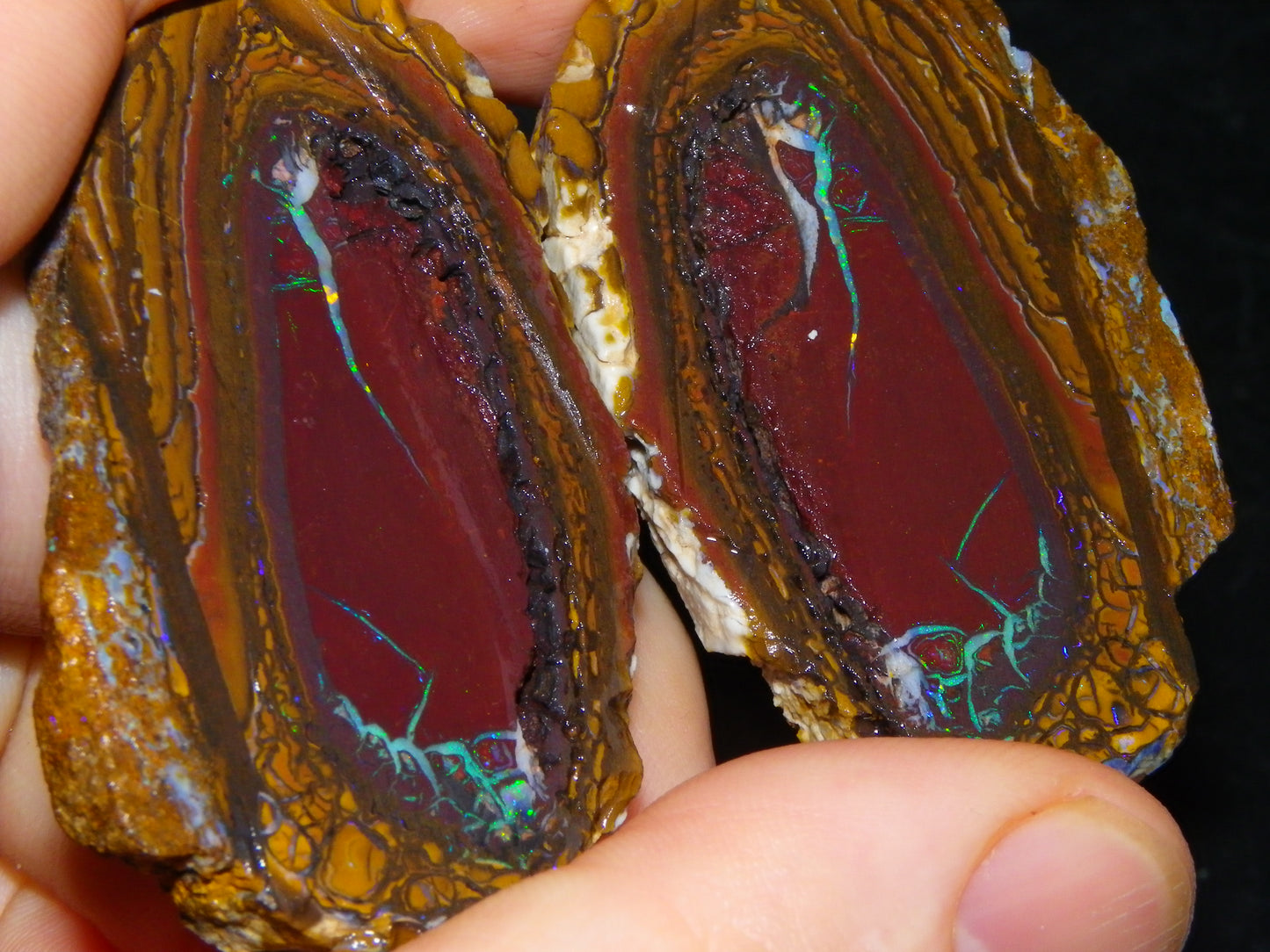 Very Nice Sliced Koroit Opal Nut 597cts Queensland 6x Pieces Fires/Matching Patterns Au