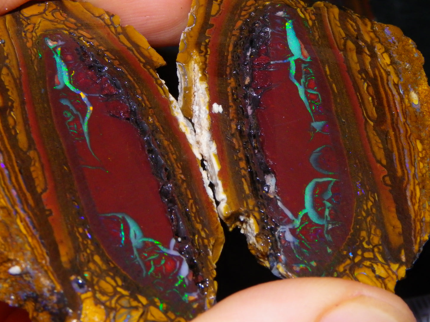 Very Nice Sliced Koroit Opal Nut 597cts Queensland 6x Pieces Fires/Matching Patterns Au