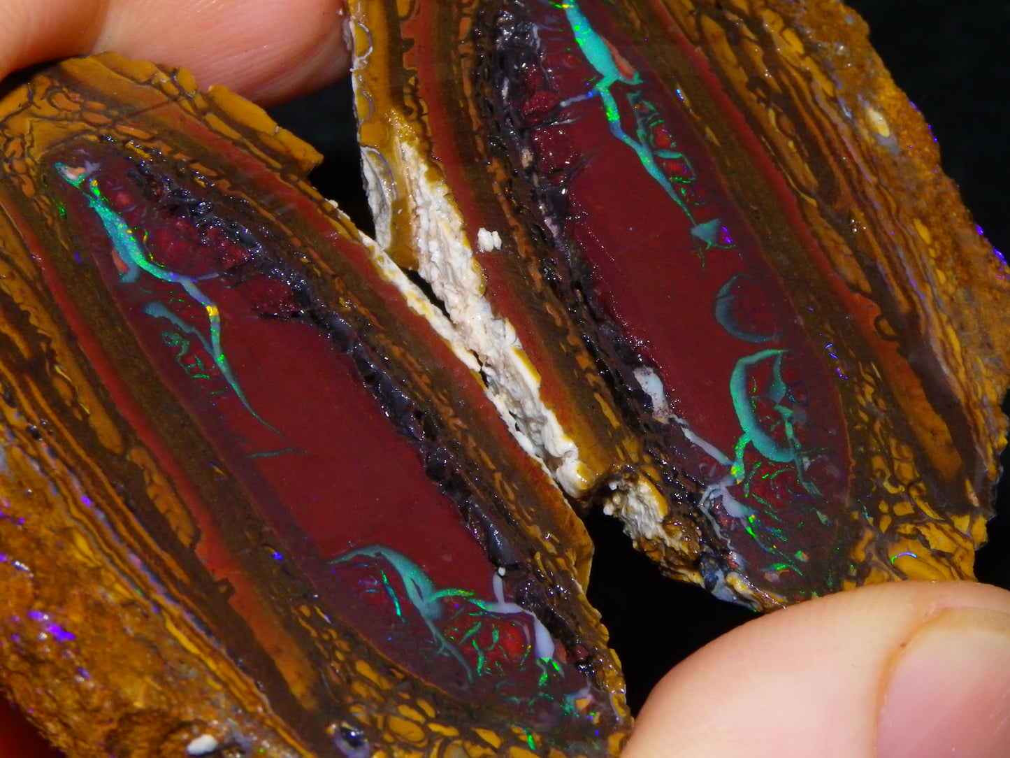 Very Nice Sliced Koroit Opal Nut 597cts Queensland 6x Pieces Fires/Matching Patterns Au