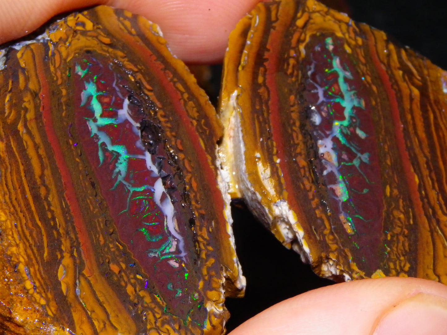 Very Nice Sliced Koroit Opal Nut 597cts Queensland 6x Pieces Fires/Matching Patterns Au