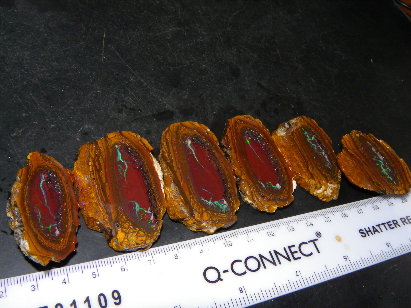 Very Nice Sliced Koroit Opal Nut 597cts Queensland 6x Pieces Fires/Matching Patterns Au