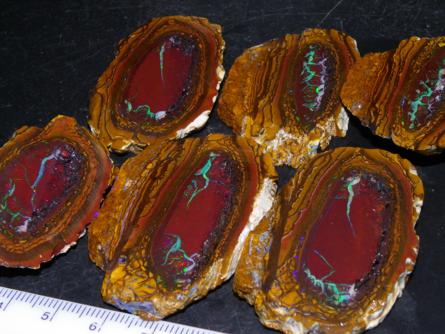 Very Nice Sliced Koroit Opal Nut 597cts Queensland 6x Pieces Fires/Matching Patterns Au