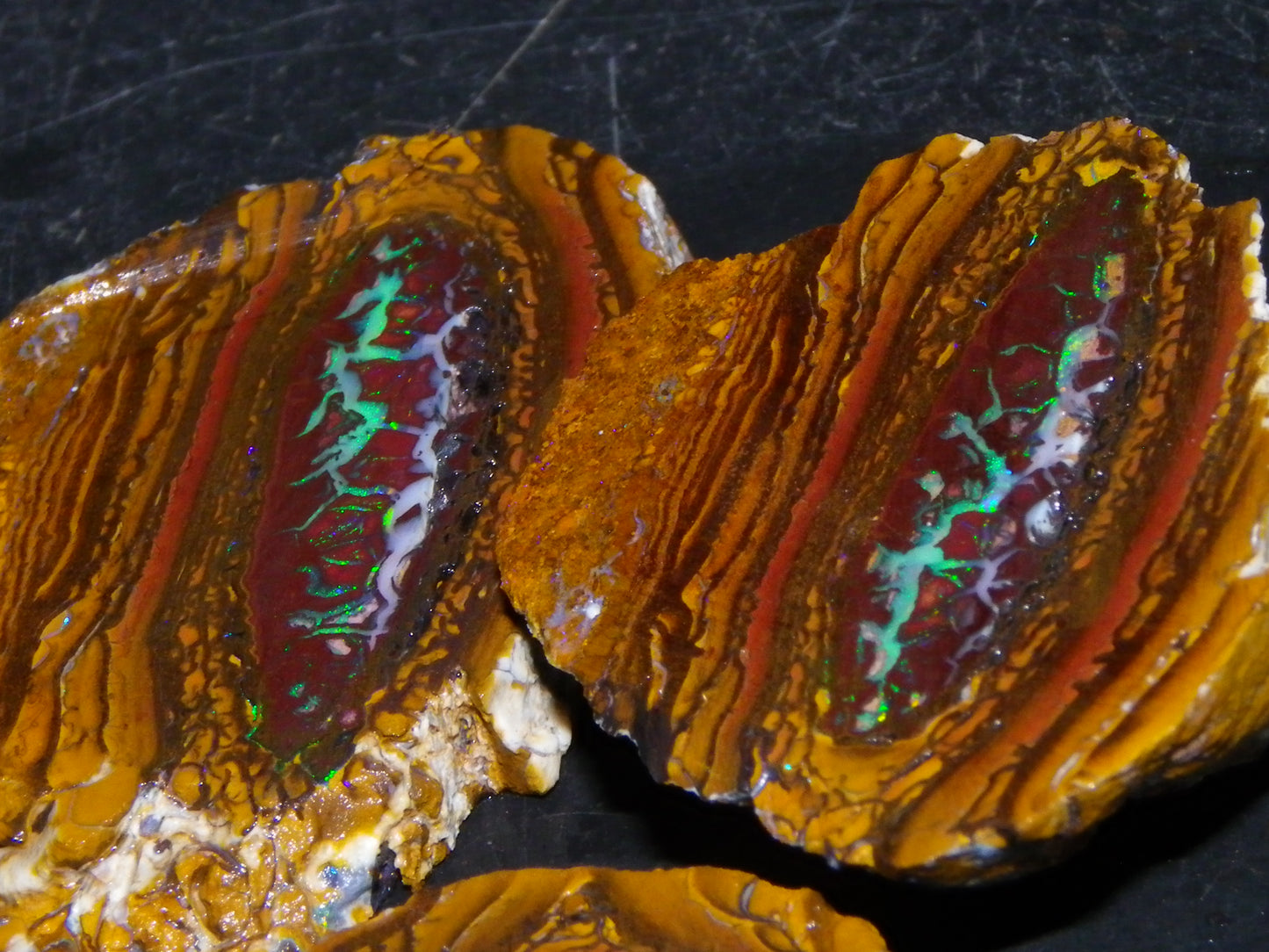 Very Nice Sliced Koroit Opal Nut 597cts Queensland 6x Pieces Fires/Matching Patterns Au