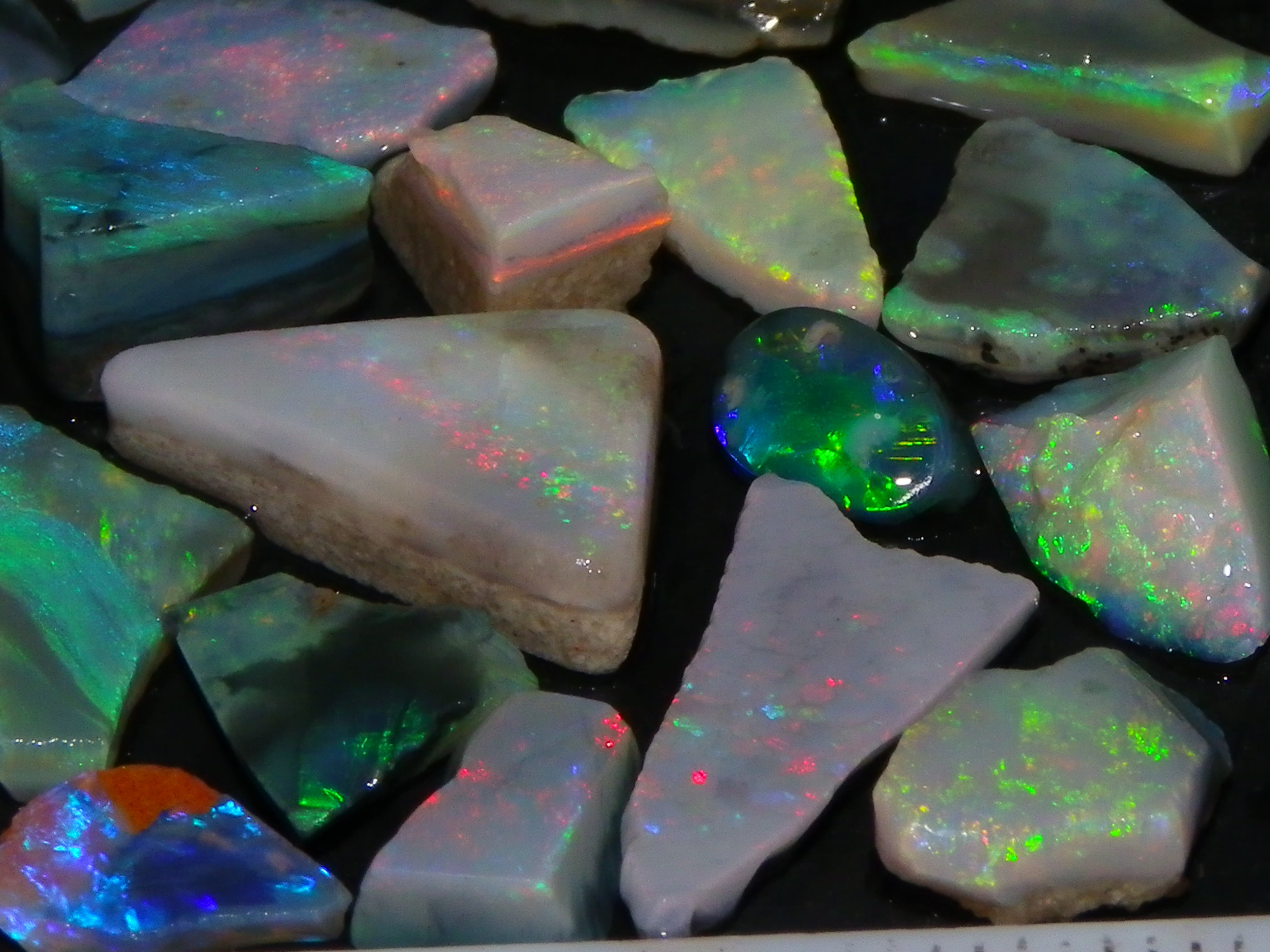 NIce Queensland Matrix Opals 222cts Ironstone Fires/veins Patterns ...