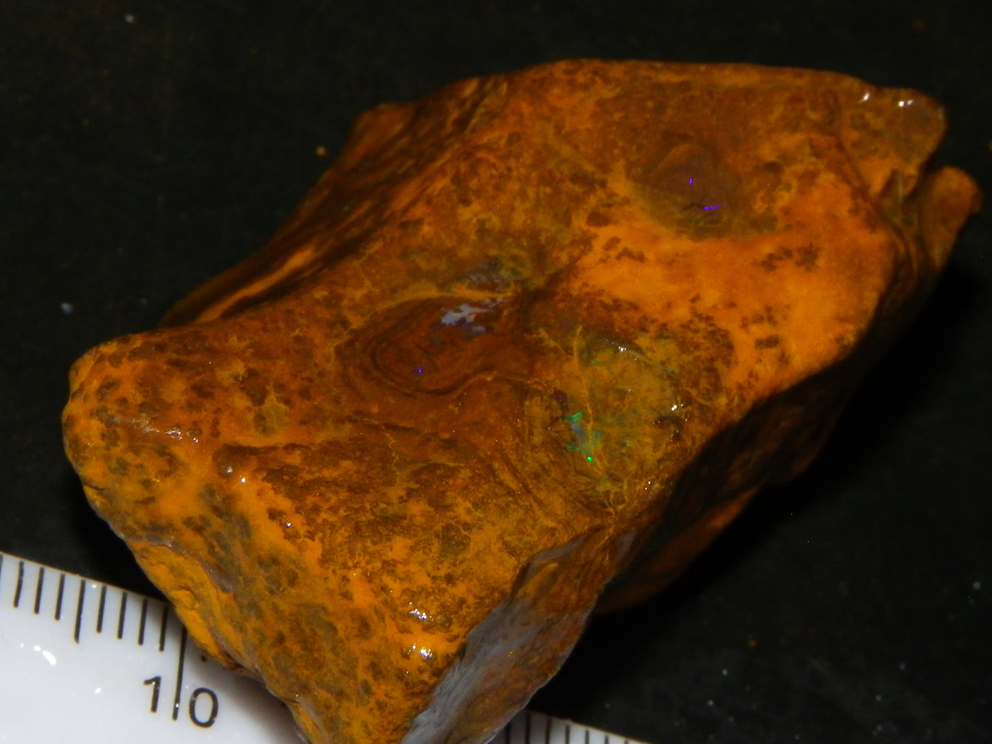 NIce Queensland Matrix Opals 222cts Ironstone Fires/veins Patterns