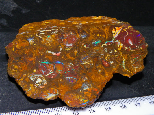 Nice Rough Koroit/Conglomerate Opal Rough 603.5cts Pods/Nuts/Patterns/Fires