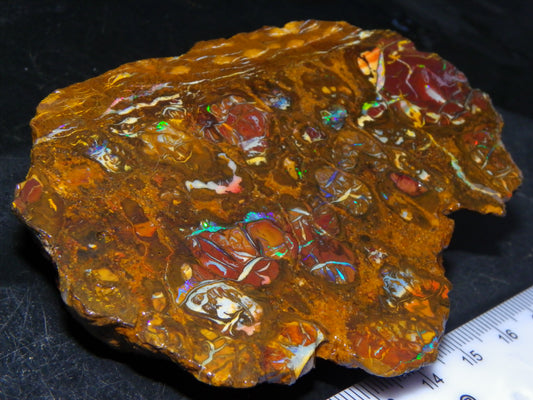Nice Rough Koroit/Conglomerate Opal Rough 603.5cts Pods/Nuts/Patterns/Fires