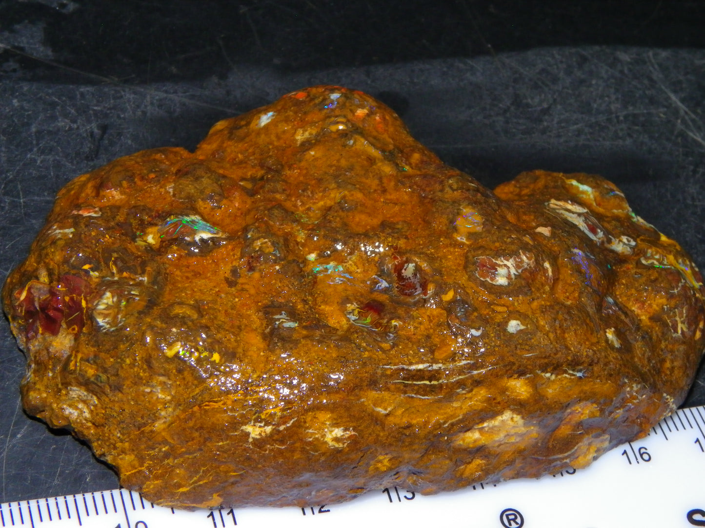 Nice Rough Koroit/Conglomerate Opal Rough 603.5cts Pods/Nuts/Patterns/Fires
