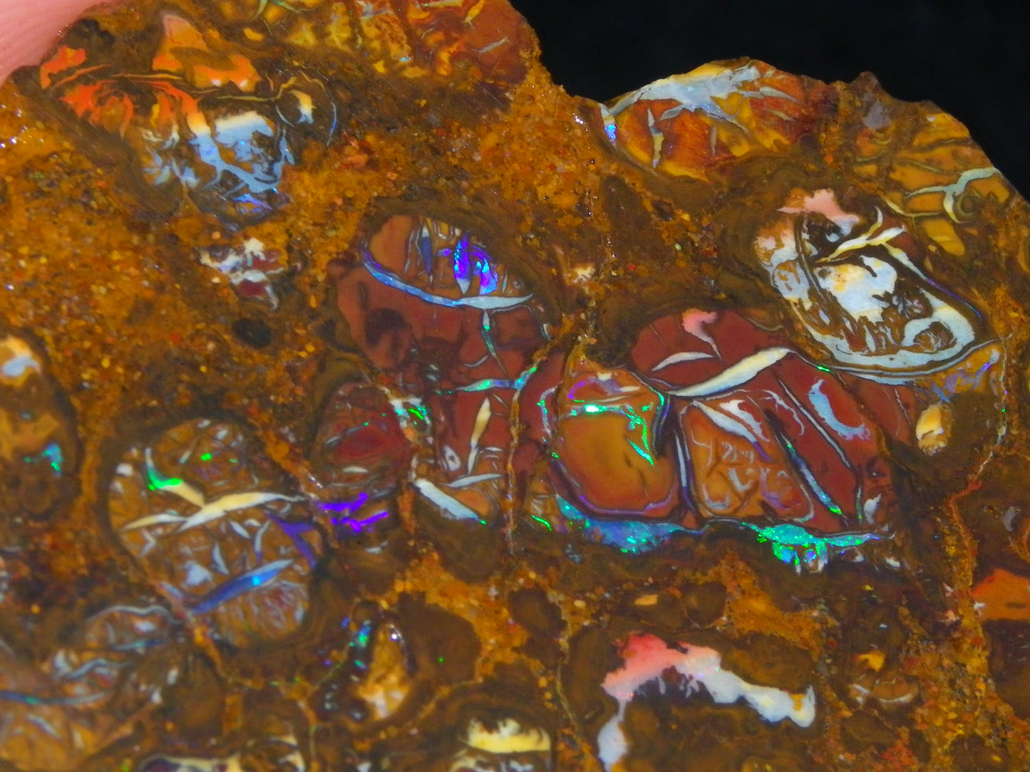 Nice Rough Koroit/Conglomerate Opal Rough 603.5cts Pods/Nuts/Patterns/Fires
