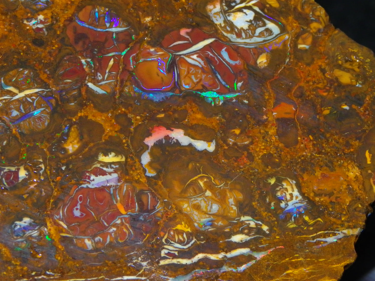 Nice Rough Koroit/Conglomerate Opal Rough 603.5cts Pods/Nuts/Patterns/Fires