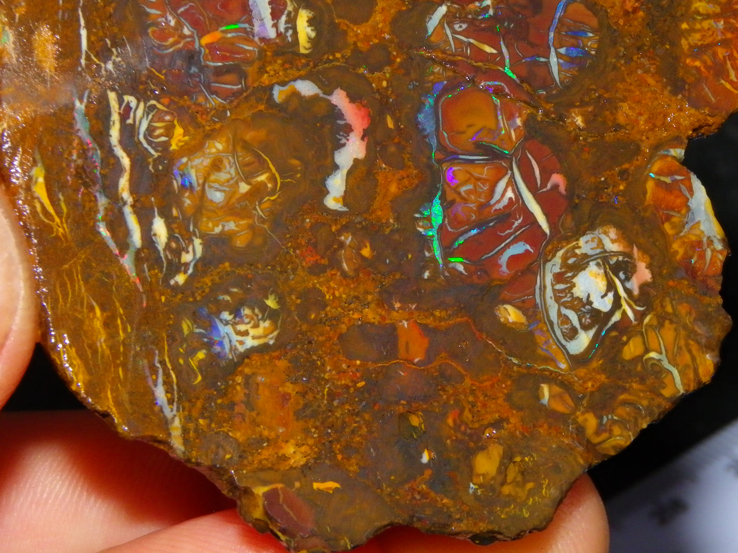 Nice Rough Koroit/Conglomerate Opal Rough 603.5cts Pods/Nuts/Patterns/Fires