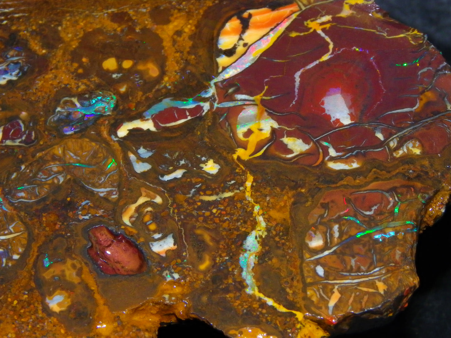 Nice Rough Koroit/Conglomerate Opal Rough 603.5cts Pods/Nuts/Patterns/Fires