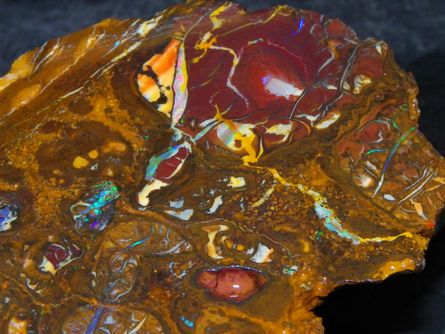 Nice Rough Koroit/Conglomerate Opal Rough 603.5cts Pods/Nuts/Patterns/Fires