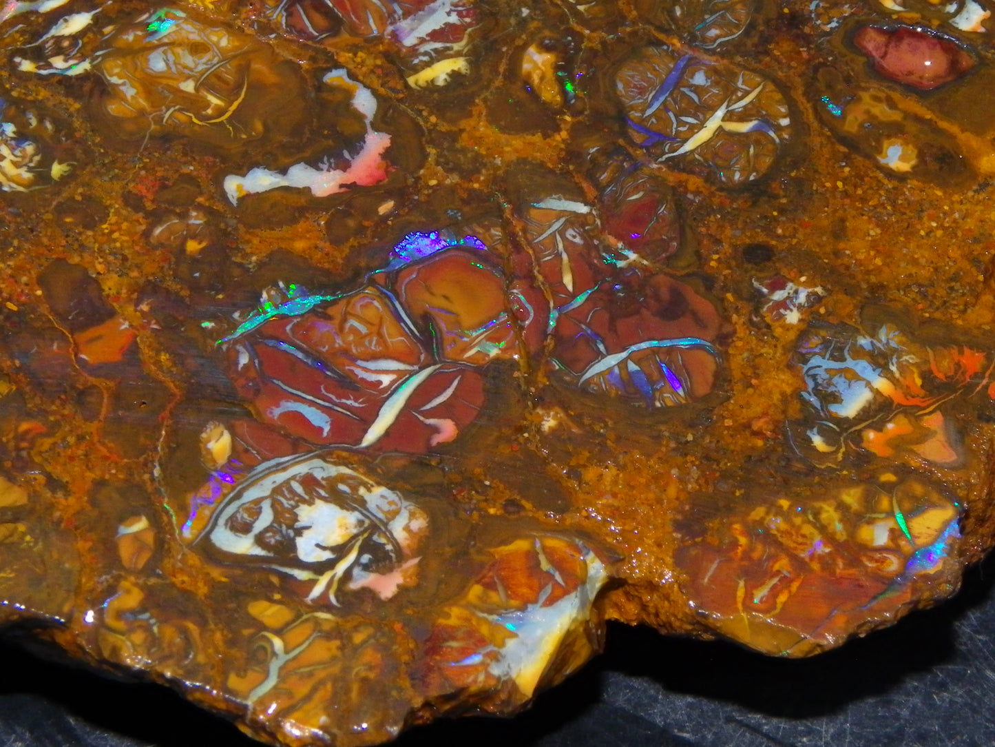 Nice Rough Koroit/Conglomerate Opal Rough 603.5cts Pods/Nuts/Patterns/Fires