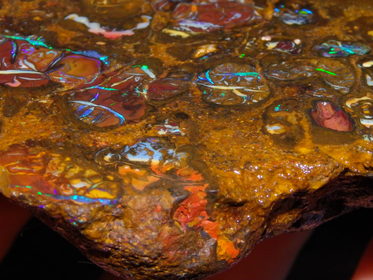 Nice Rough Koroit/Conglomerate Opal Rough 603.5cts Pods/Nuts/Patterns/Fires