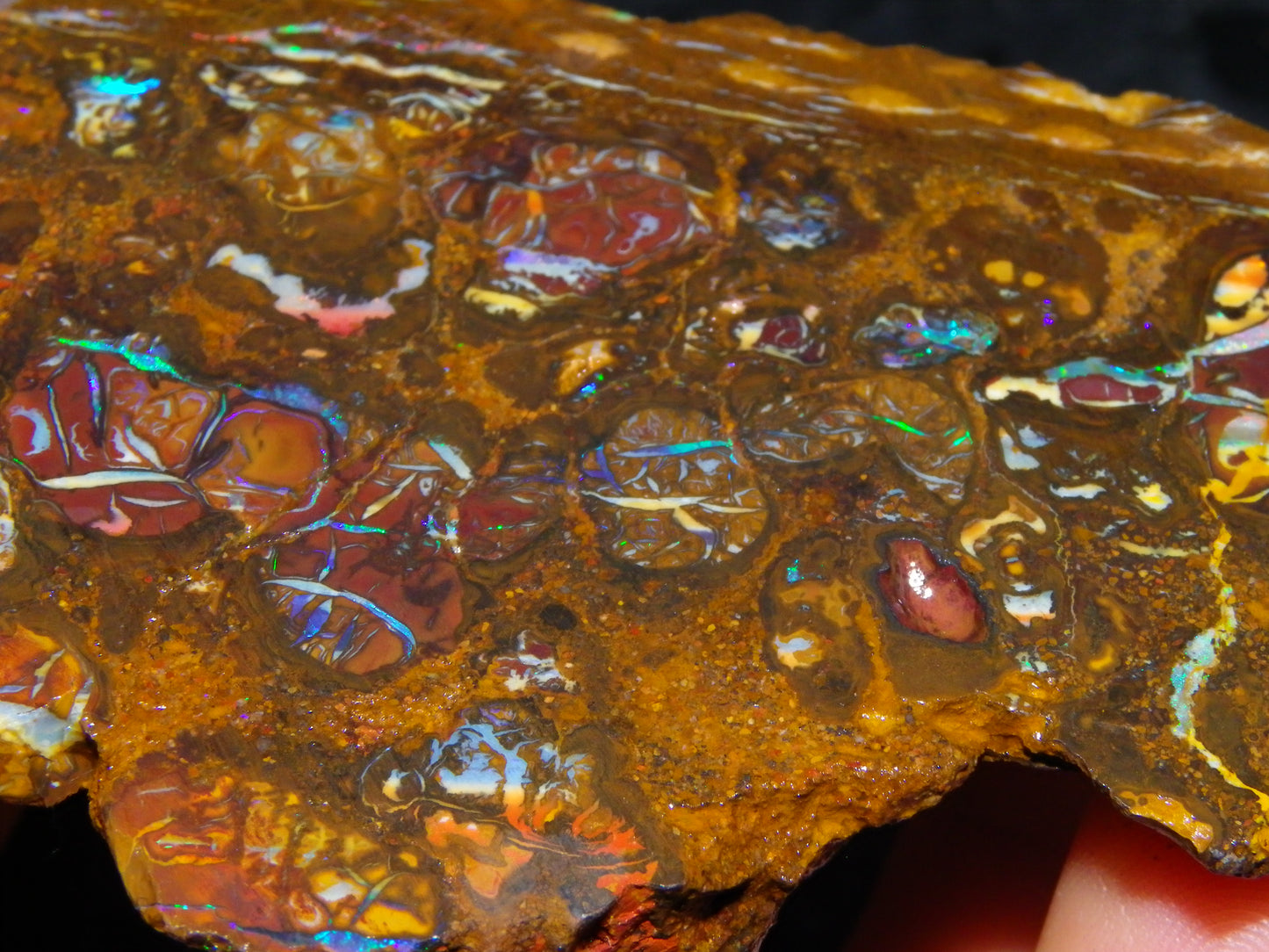Nice Rough Koroit/Conglomerate Opal Rough 603.5cts Pods/Nuts/Patterns/Fires