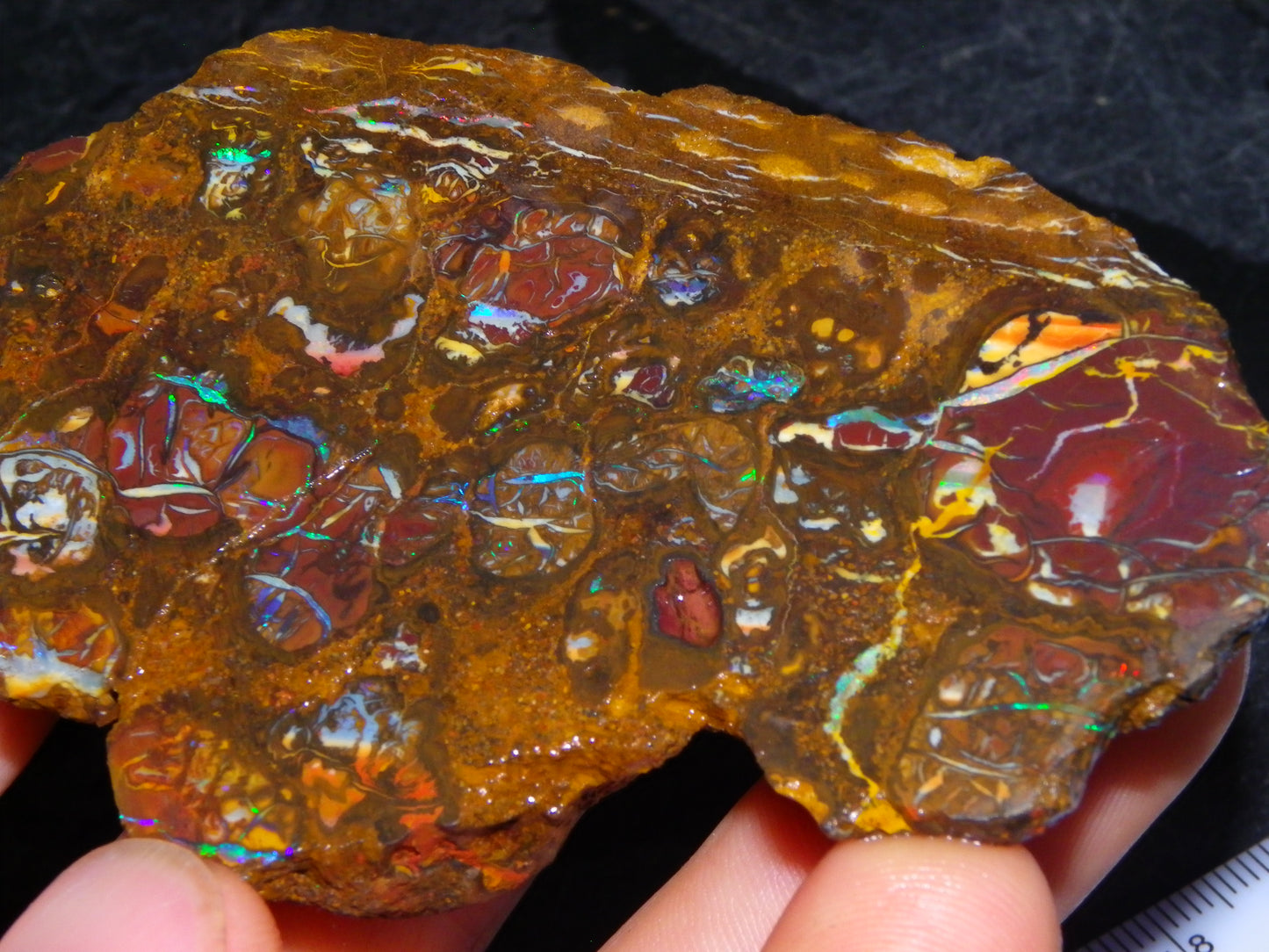 Nice Rough Koroit/Conglomerate Opal Rough 603.5cts Pods/Nuts/Patterns/Fires