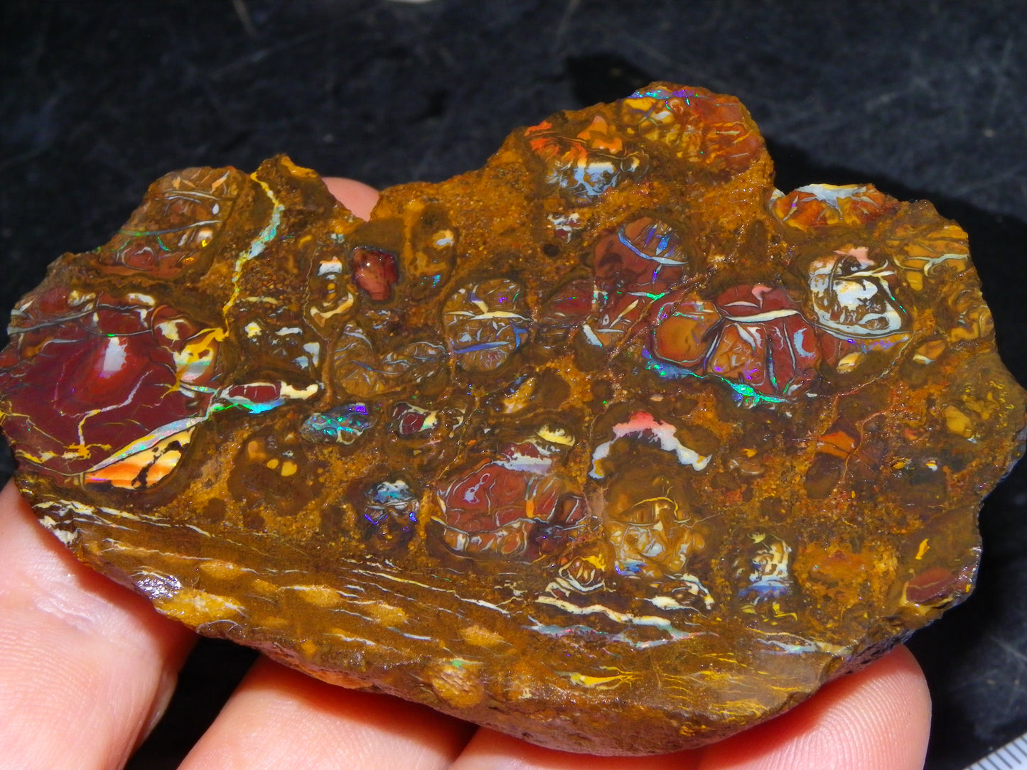 Nice Rough Koroit/Conglomerate Opal Rough 603.5cts Pods/Nuts/Patterns/Fires