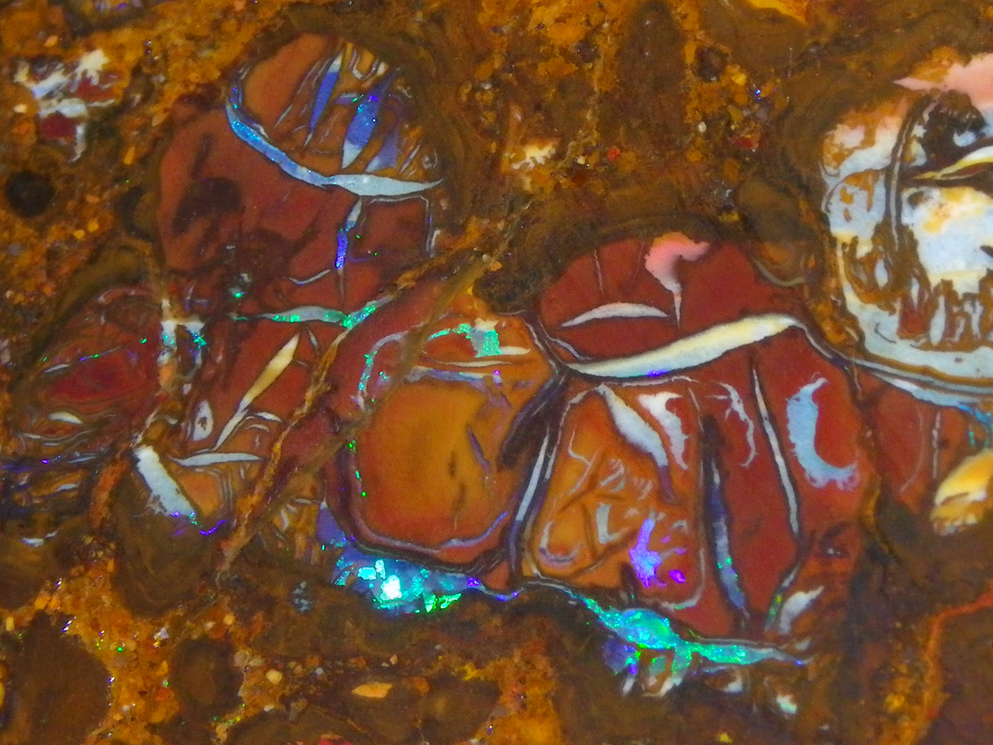 Nice Rough Koroit/Conglomerate Opal Rough 603.5cts Pods/Nuts/Patterns/Fires