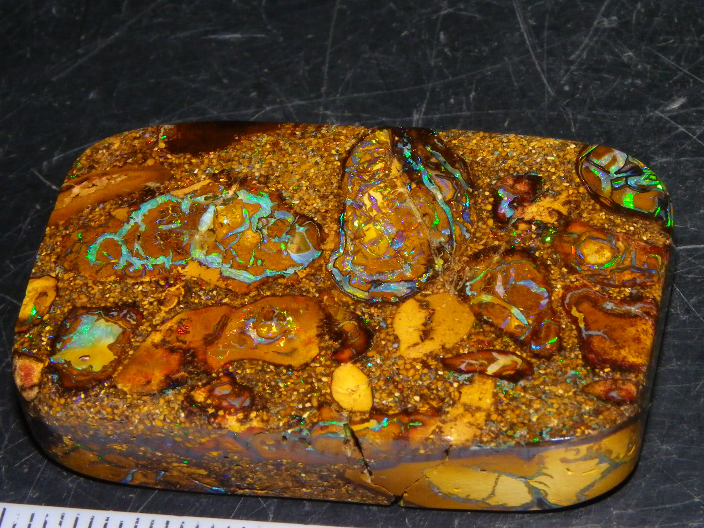 Interesting Polished Koroit Opal Specimen 98.24cts Conglomerate Nuts/Fires Queensland