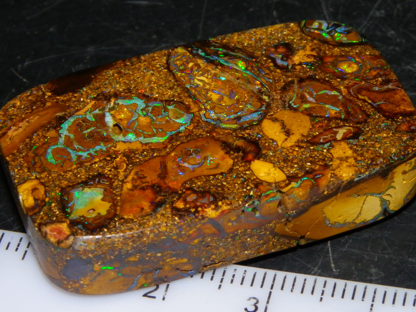 Interesting Polished Koroit Opal Specimen 98.24cts Conglomerate Nuts/Fires Queensland