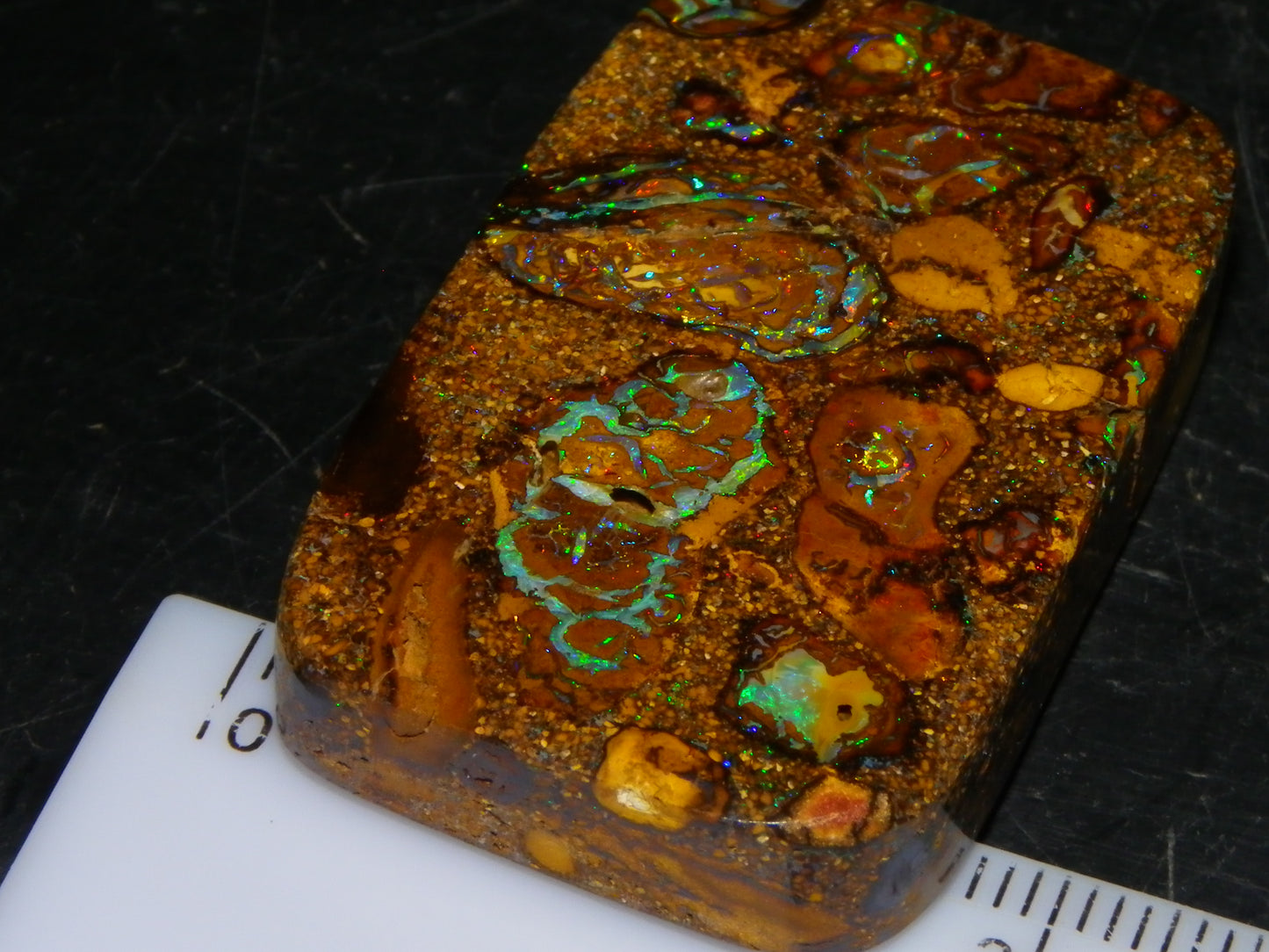 Interesting Polished Koroit Opal Specimen 98.24cts Conglomerate Nuts/Fires Queensland
