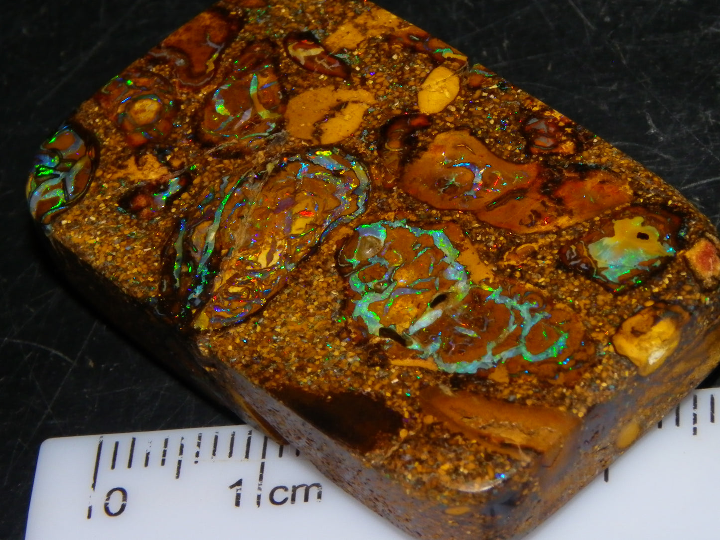 Interesting Polished Koroit Opal Specimen 98.24cts Conglomerate Nuts/Fires Queensland