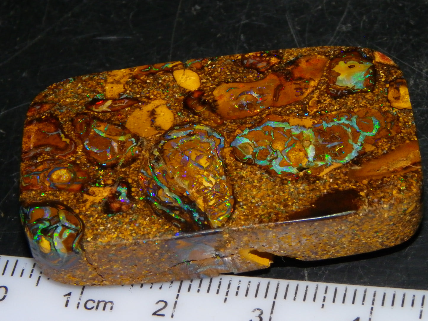 Interesting Polished Koroit Opal Specimen 98.24cts Conglomerate Nuts/Fires Queensland