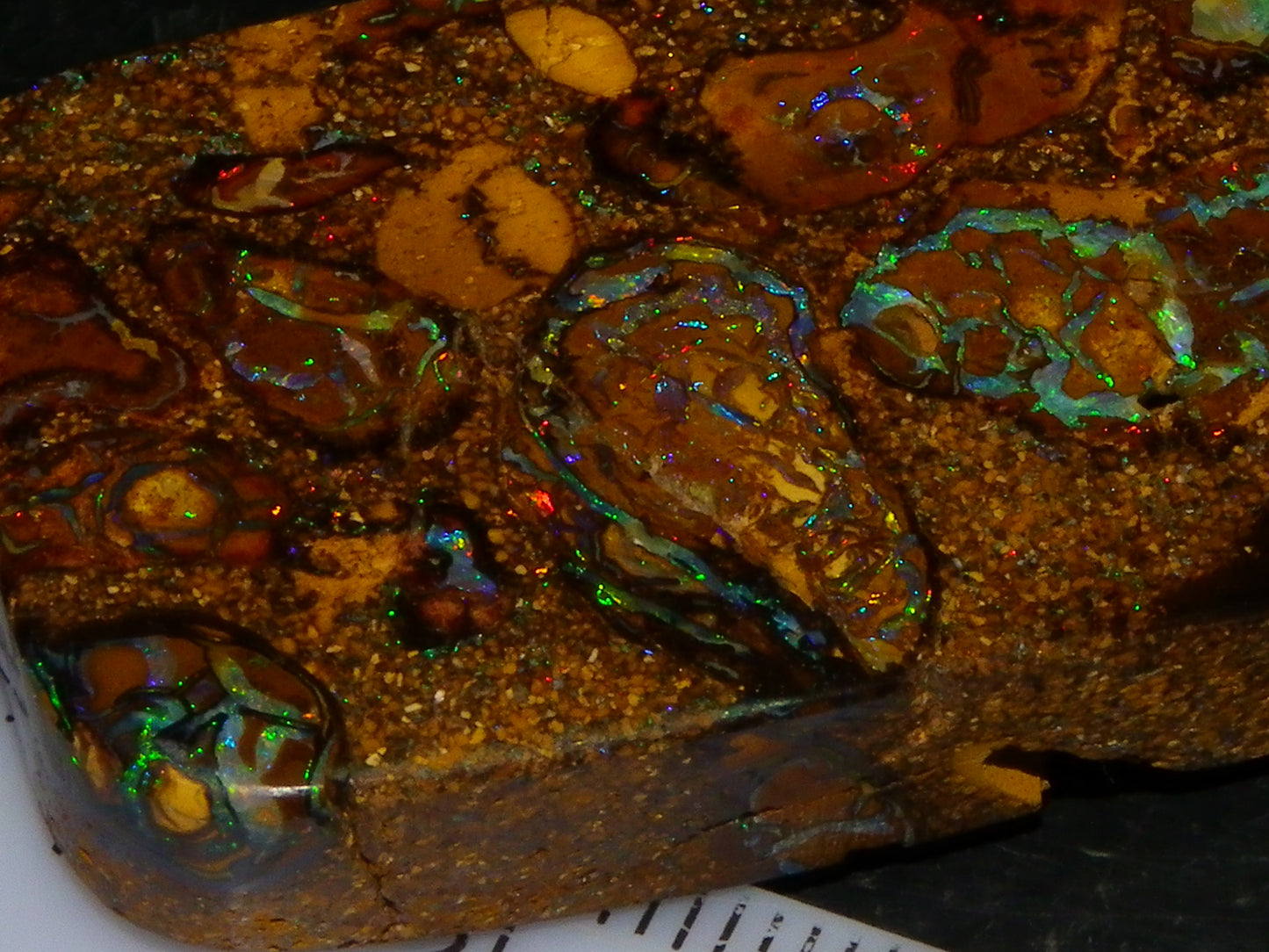 Interesting Polished Koroit Opal Specimen 98.24cts Conglomerate Nuts/Fires Queensland