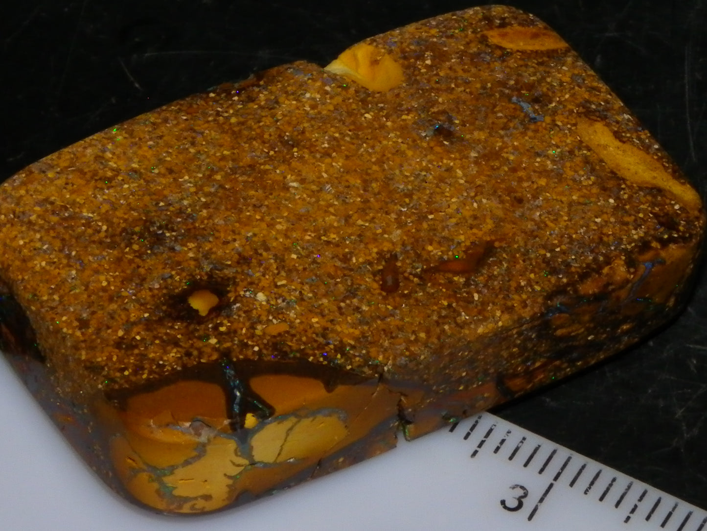 Interesting Polished Koroit Opal Specimen 98.24cts Conglomerate Nuts/Fires Queensland