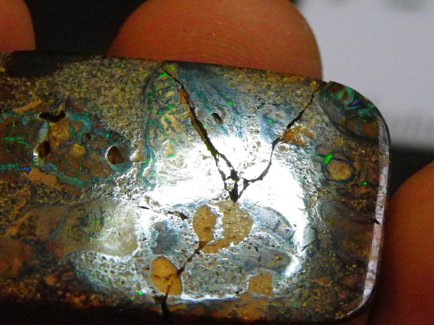 Interesting Polished Koroit Opal Specimen 98.24cts Conglomerate Nuts/Fires Queensland