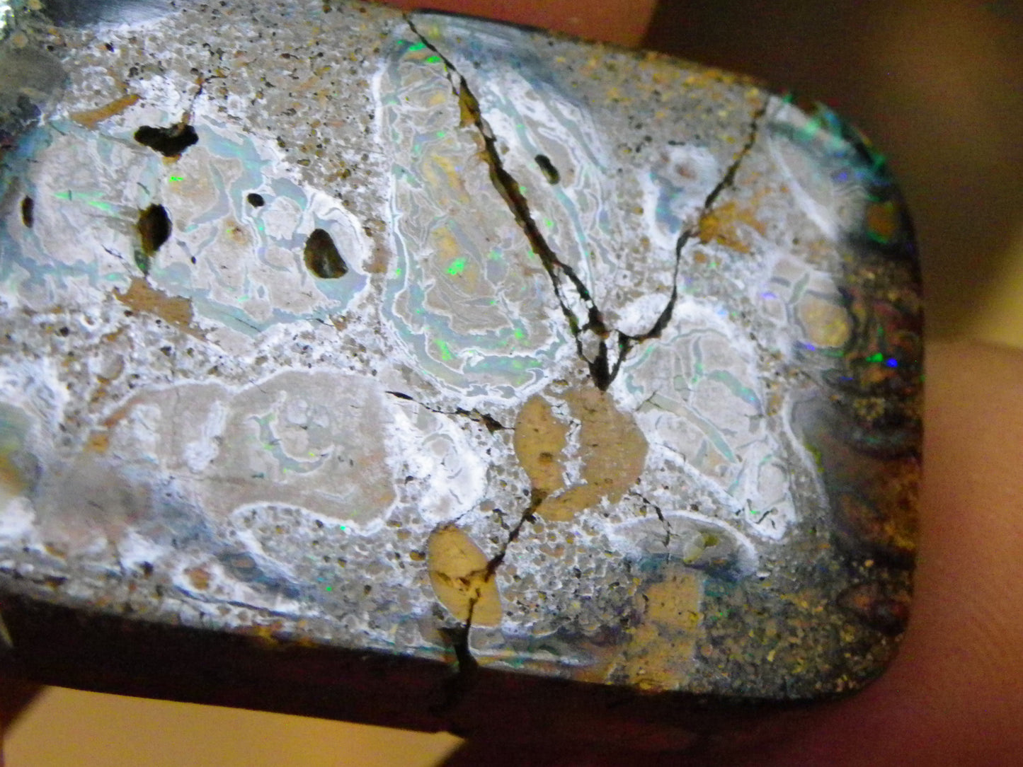 Interesting Polished Koroit Opal Specimen 98.24cts Conglomerate Nuts/Fires Queensland