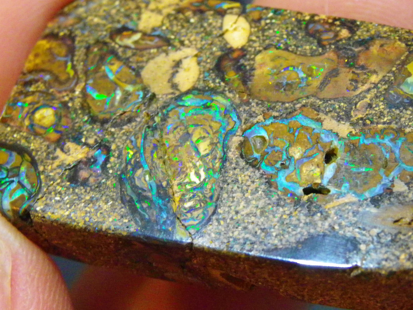 Interesting Polished Koroit Opal Specimen 98.24cts Conglomerate Nuts/Fires Queensland