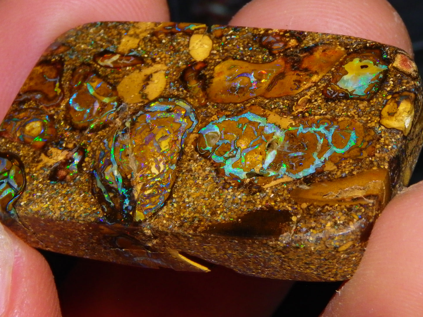 Interesting Polished Koroit Opal Specimen 98.24cts Conglomerate Nuts/Fires Queensland