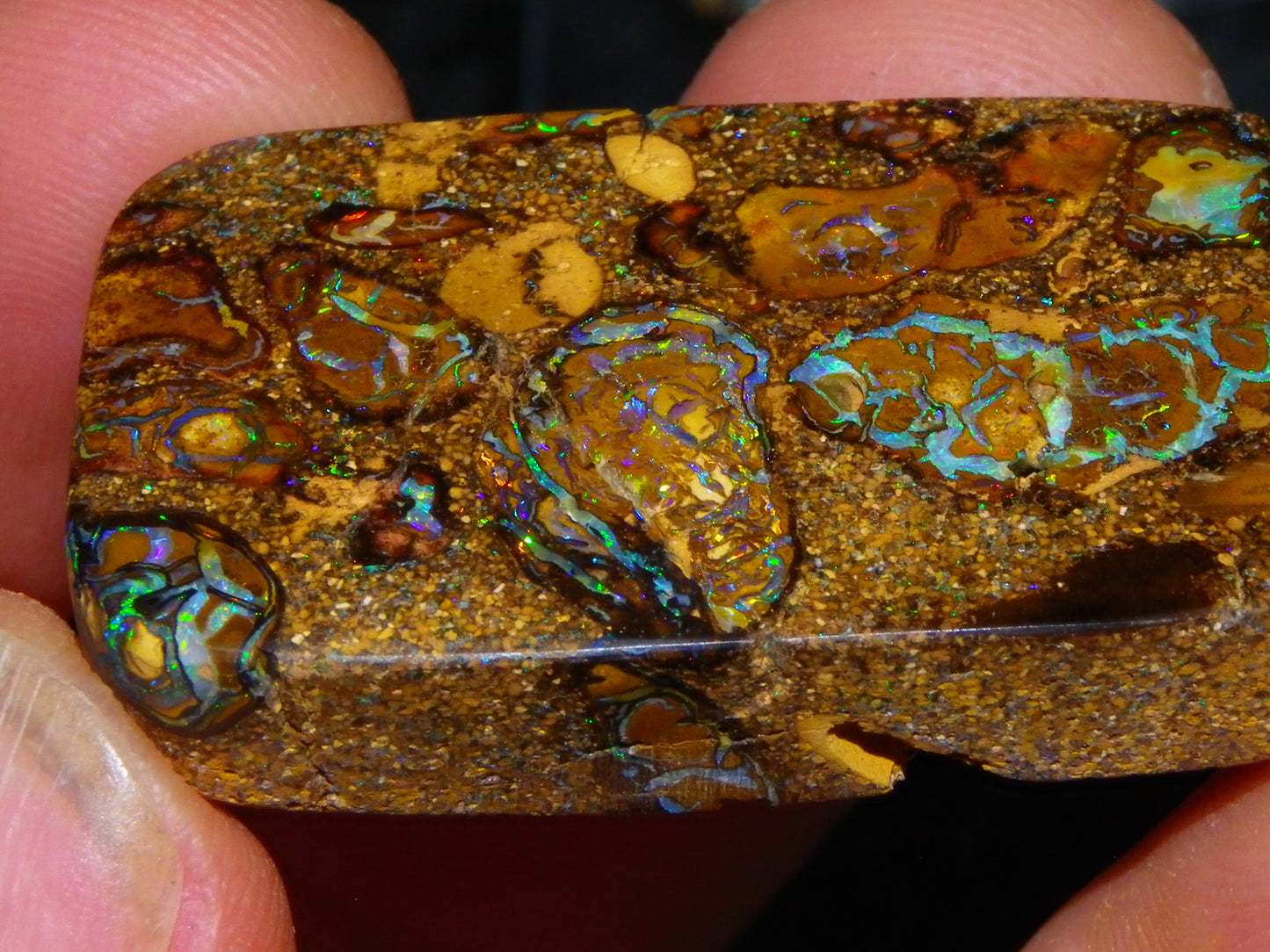 Interesting Polished Koroit Opal Specimen 98.24cts Conglomerate Nuts/Fires Queensland