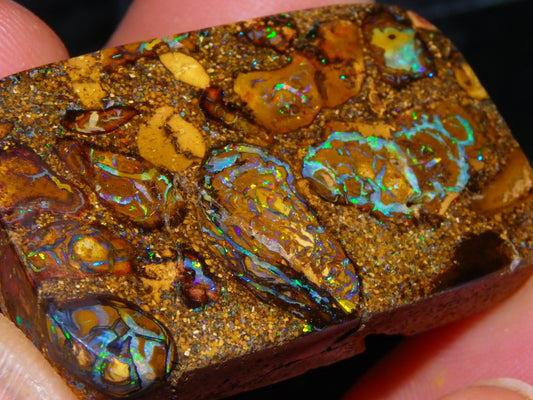 Interesting Polished Koroit Opal Specimen 98.24cts Conglomerate Nuts/Fires Queensland