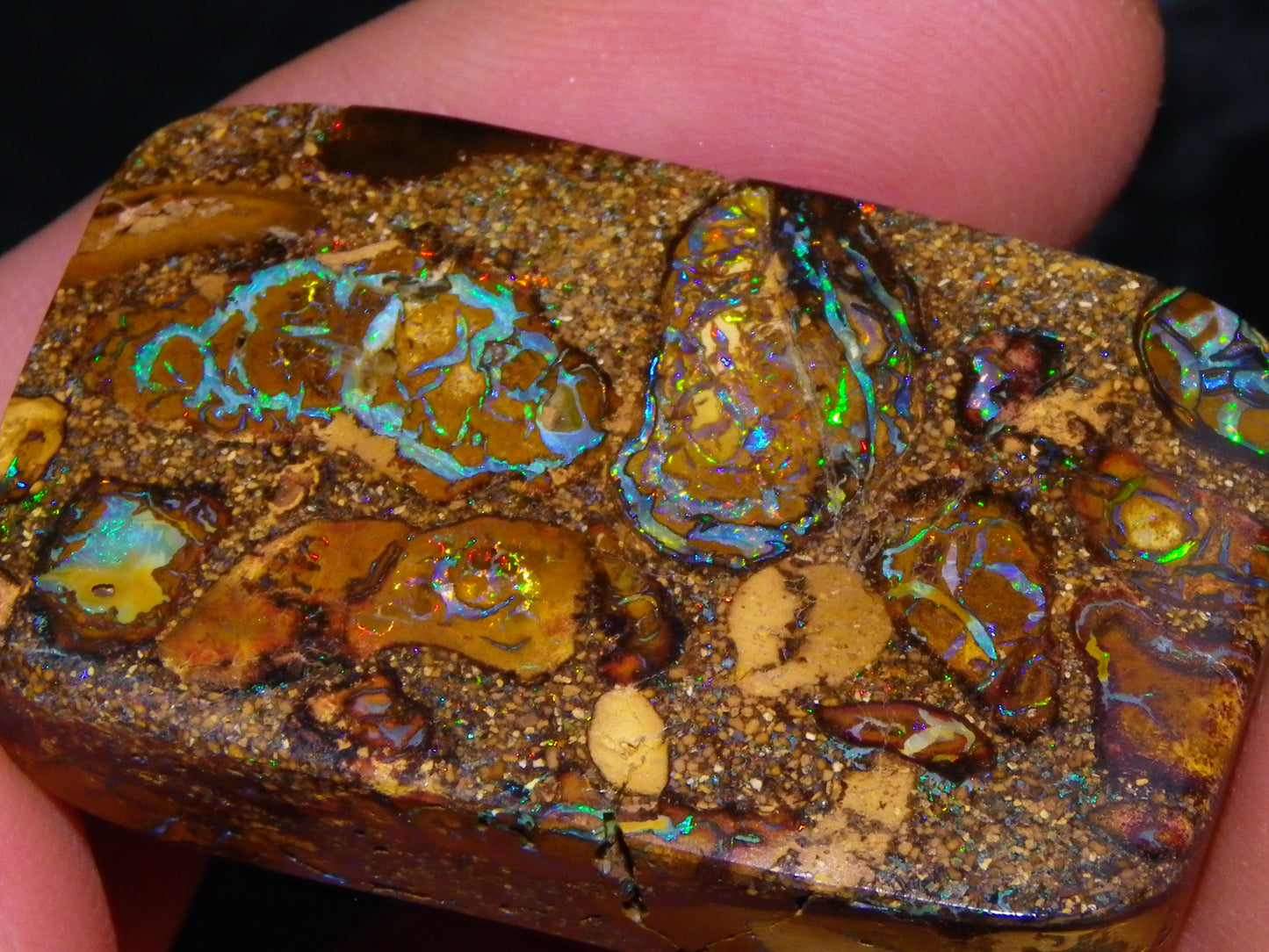 Interesting Polished Koroit Opal Specimen 98.24cts Conglomerate Nuts/Fires Queensland