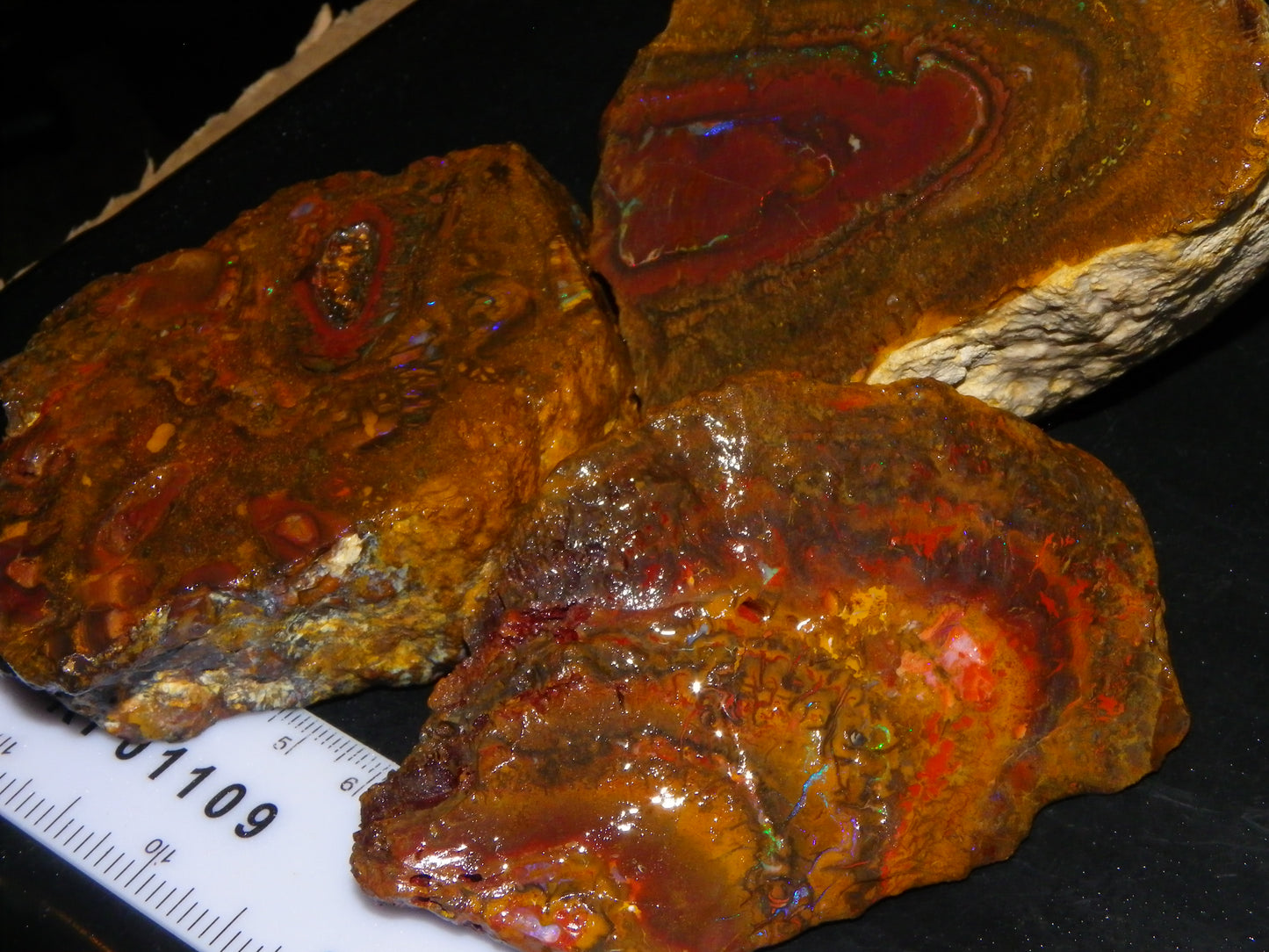Larger Parcel 4126cts Rough Koroit Slabs x3 Patterns Some Fires Queensland Australia