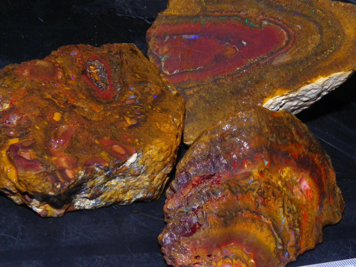 Larger Parcel 4126cts Rough Koroit Slabs x3 Patterns Some Fires Queensland Australia