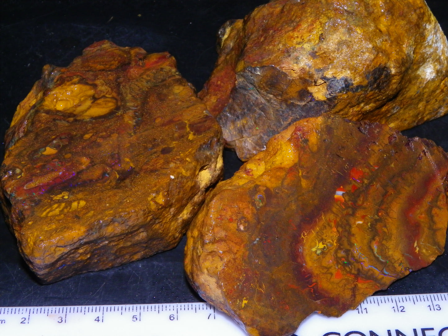 Larger Parcel 4126cts Rough Koroit Slabs x3 Patterns Some Fires Queensland Australia