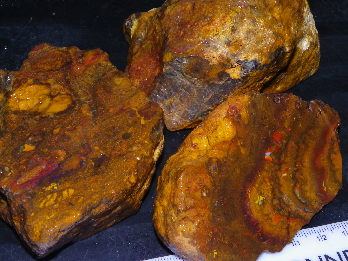 Larger Parcel 4126cts Rough Koroit Slabs x3 Patterns Some Fires Queensland Australia